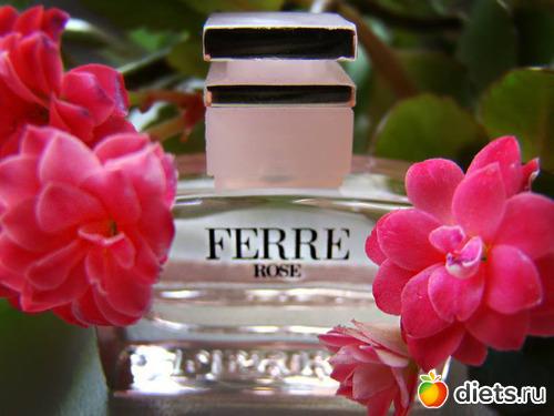 Вкус жизни, что это. Как проявляется вкус к жизни 05