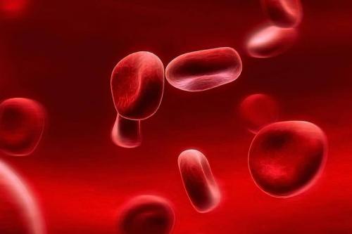 Почему нельзя себя ругать. За что мы себя ругаем? 02