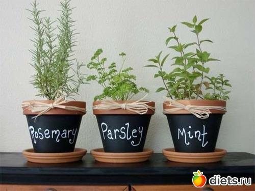 Вкус жизни, что это. Как проявляется вкус к жизни 04