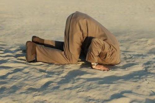 Анна Фрейд защитные механизмы. Основные разработки: защитные механизмы 01