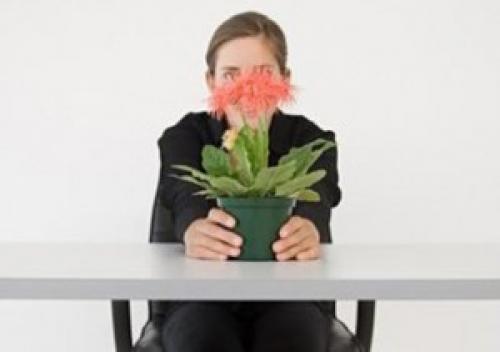 Офисные войны стратегия выживания. 02