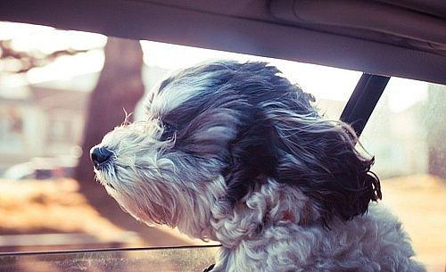 Смешные фобии