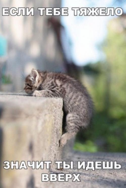 В отношениях, что делать. Вначале была легкость… 09