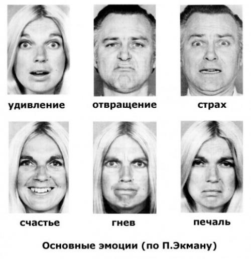 Где в теле человека живут эмоции. Тело, как улика. В каких органах «живут» эмоции человека 01