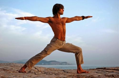 Хатха йога для начинающих в картинках. Асаны йоги для начинающих — 130 фото основных поз, их название, описание и особенности занятий в домашних условиях