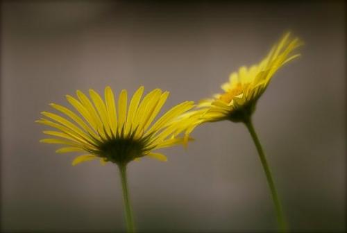 Как встретить свою вторую половинку сила мысли. Как работает закон притяжения в поиске второй половинки