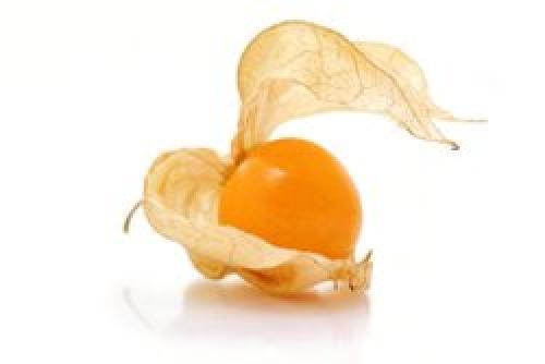 Какой цвет привлекает внимание в рекламе. Какой цвет использовать в рекламе для привлечения клиентов? 01