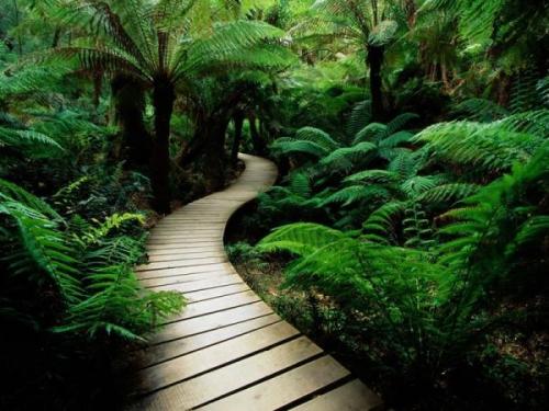 Что значит мудрость