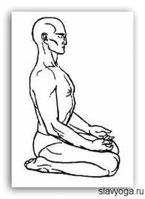 Эффект Ваджрасаны