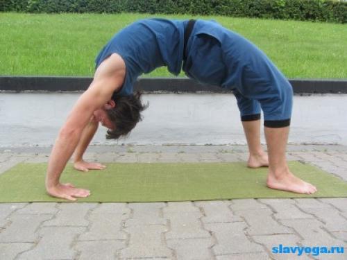 Урдхва дханурасана