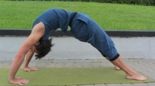 Урдхва дханурасана