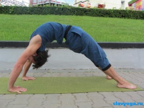 Урдхва дханурасана