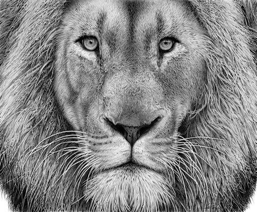 Сила в спокойствии. Цитаты про спокойствие.