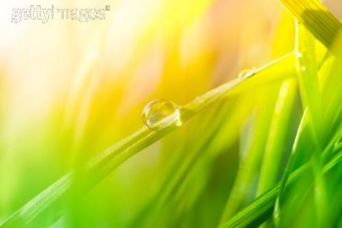 Сила в спокойствии. Цитаты про спокойствие.