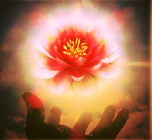 Сила в спокойствии. Цитаты про спокойствие.