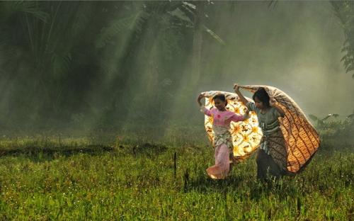Сила в спокойствии. Цитаты про спокойствие.