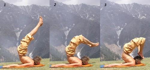 Поза кузнечика. Техника выполнения шалабхасаны (позы кузнечика)