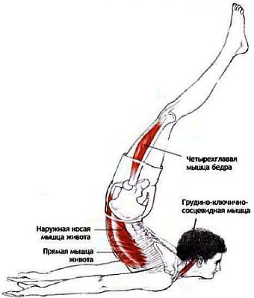Поза кузнечика. Техника выполнения шалабхасаны (позы кузнечика)