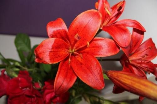 Что нужно женщине от мужчины (список)