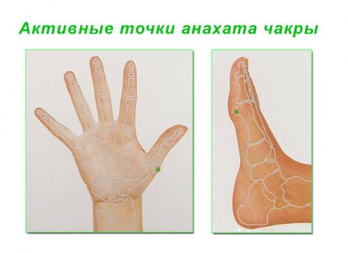 Как разблокировать сердечную чакру. Активация анахаты через активные точки