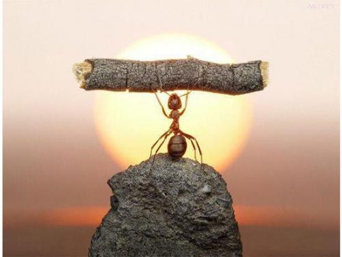 Как преодолеть жизненные трудности и остаться человеком?