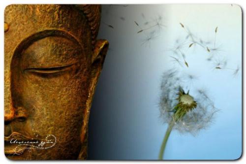 Почему случайностей не бывает