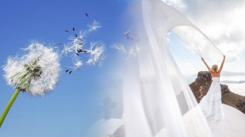 Если на свадьбу ветер - примета