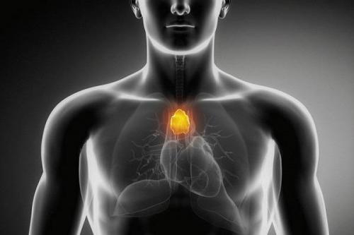 Анахата чакра за что отвечает