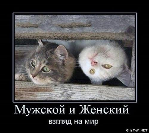 Потребности мужчин и женщин в отношениях.