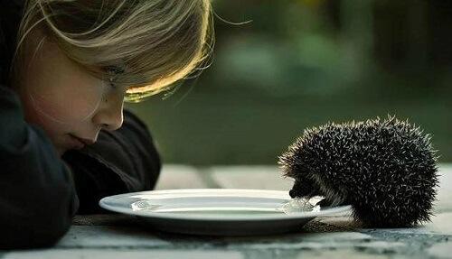 Цитаты про добро