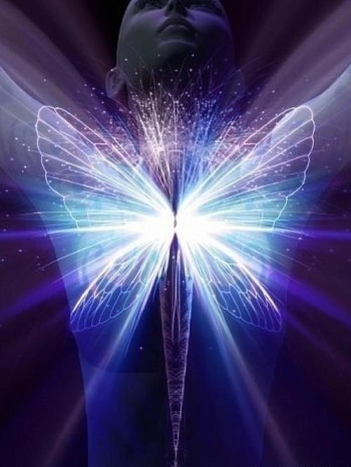 Закон кармы и причинно-следственной связи