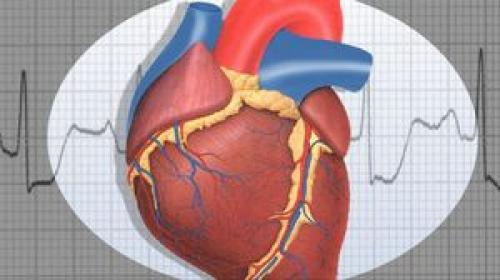 Боль в грудной клетке посередине сверху. Болезни сердца и сосудов