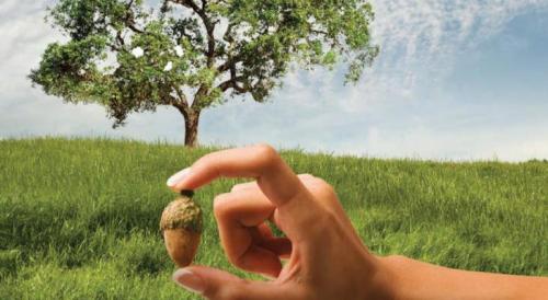 Универсальные законы вселенной. Итак, какие основные Законы Вселенной бывают: