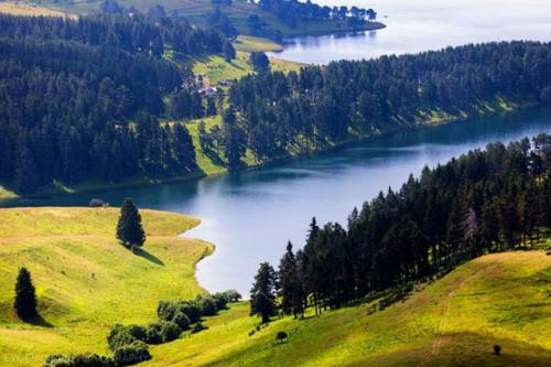 Как изменить судьбу человека на психическом уровне?