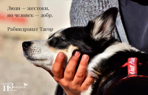 Твори добро. Добро и зло враждуют — мир в огне…