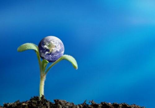 Законы жизни: причины и следствия