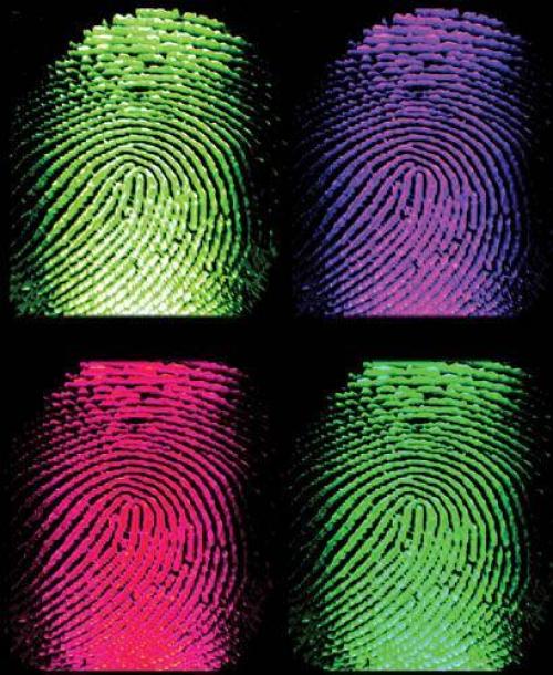 Информация о человеке по отпечаткам пальцев