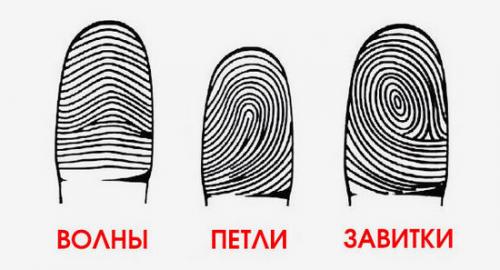 Узнаем характер по отпечаткам пальцев