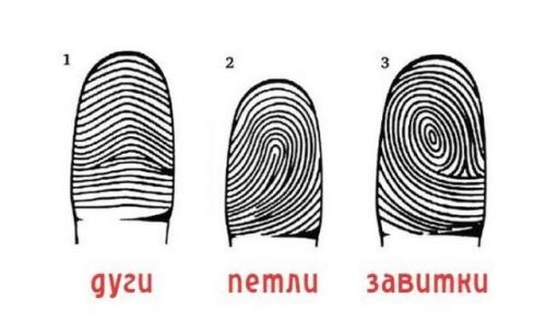 Что отпечатки пальцев могут рассказать о характере человека