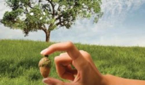 Законы жизни психология. Психологические законы жизни человека