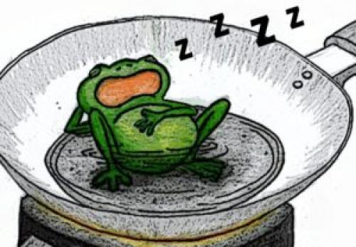 Синдром лягушки в кипятке от елена пасенко. Как избежать синдрома «лягушки в кипятке»