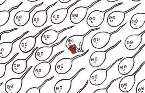 Бывает ли у МУЖЧИН овуляция. Внешние признаки овуляции: мужчины это видят