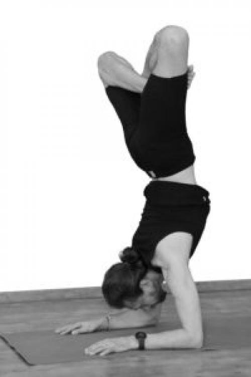 Пинча Маюрасана