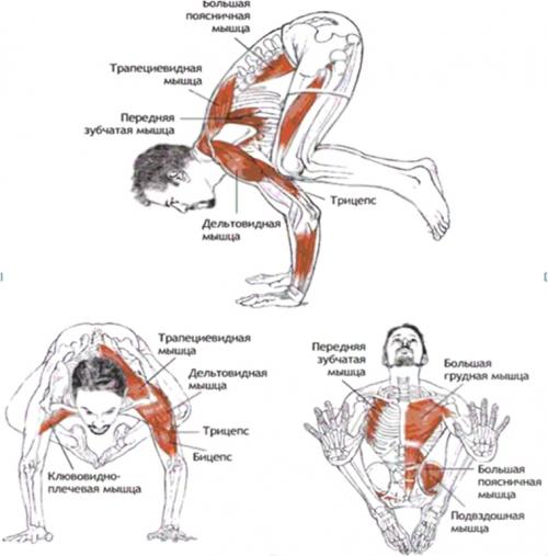 Бакасана — Поза журавля
