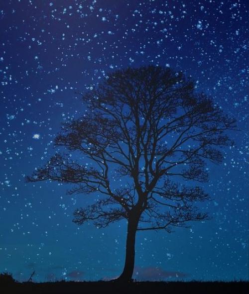 Кармическая задача джули по. Школы нумерологии