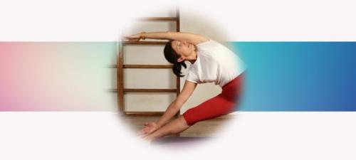 Прасарита Падоттанасана i. Прасарита Падоттанасана 06