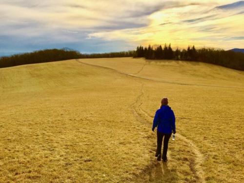 Любовь и забота 2020. Забота о близких может оказаться эволюционно заложенным смыслом жизни 01