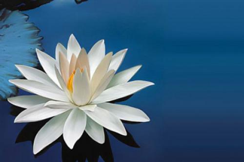 Техники обретения спокойствия. Колесо жизни 03