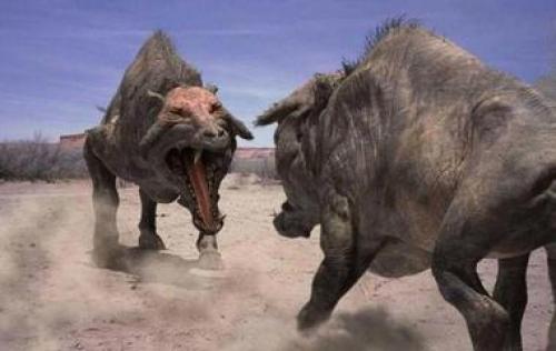 Синдром примеры. Редчайшие синдромы и психические расстройства, о которых вы не слышали