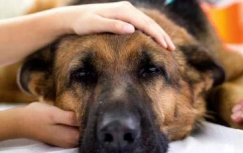 Синдром примеры. Редчайшие синдромы и психические расстройства, о которых вы не слышали